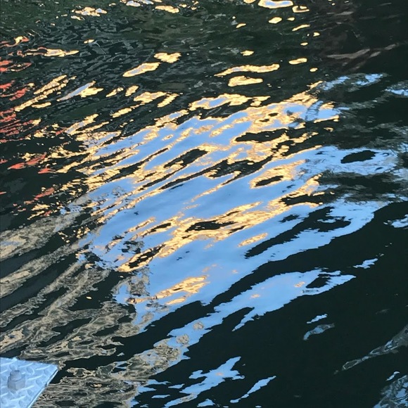 Meet your Posher, Willow - Picture 1 of 1